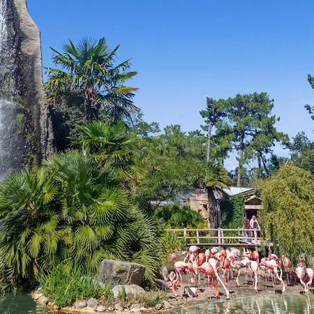 Feriehus Stunning In *