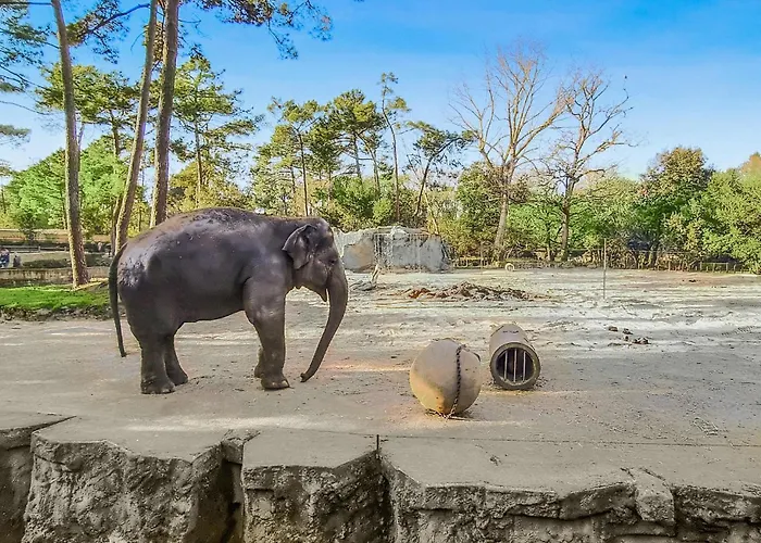 Сasa de vacaciones Stunning In *