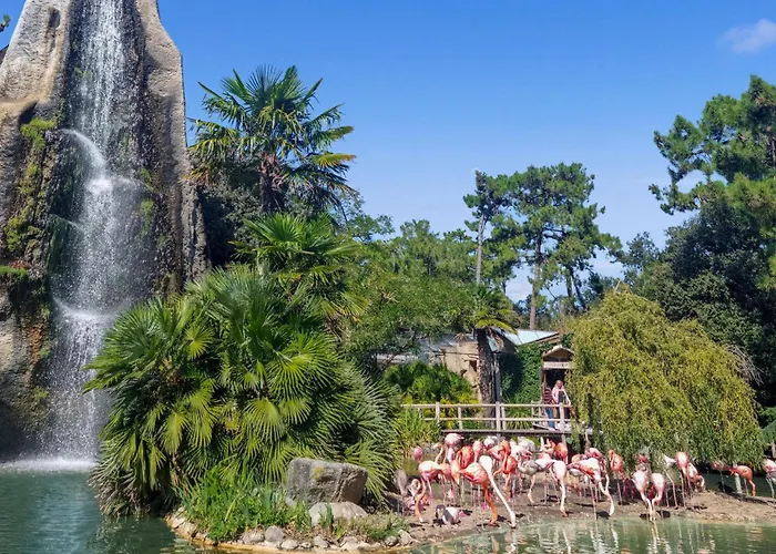 Сasa de vacaciones Stunning In *